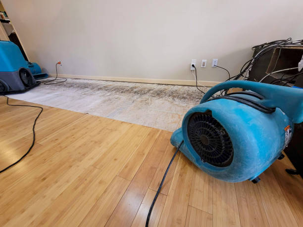 Professional Basement Flood Cleanup technician working in Fowlerville, MI