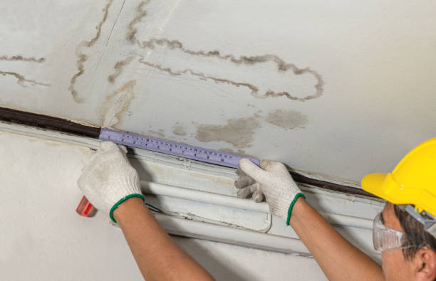 Trusted Basement Flood Cleanup service in Fowlerville, MI - Aqua Guard Water Damage